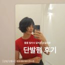 자연앤동물병원 미용실 | 강릉미용실추천 에코레비헤어앤스파 손질쉬운 단발펌 후기