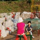 금대초등학교 이미지