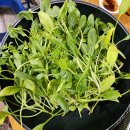 다우리농장 이미지