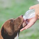 위너스 동물병원 이미지