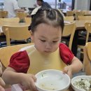 신호등횟집 | 아기랑 진도 쏠비치 맛집 추천 Top3 :: 가온전복, 진도횟집 해녀소녀식당, 신호등회관
