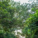 지석리(망향대 주차장) 이미지