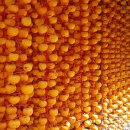 대목두레 | (26.04.06)흰 겉살까지 달콤달콤한 오늘의 명인 꿀참외! + 15브릭스 3월생 농부 고당도흑수박+ 최고의...