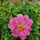 인선농장 이미지