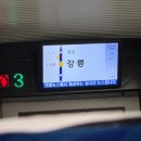 유다키친 | 오로지 먹으러 가는, 강릉 1박 2일 여행 [25.06.14~25.06.15]