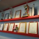 용인대GX복싱 이미지