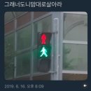 미가카페