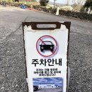 찌다방 | 제주 성산 아침식사 난산리다방 애견동반 브런치카페