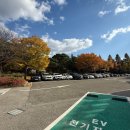 개랑 나들이 | [광명동굴] 기대 없이 갔다가 놀란 가족나들이 후기