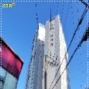 세림펠리체 이미지