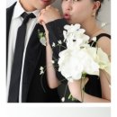 백스튜디오 네이버블로그