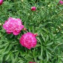 바다그리다 이미지