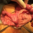 피닉스동물병원 이미지