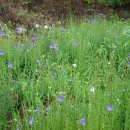 남계3리 이미지