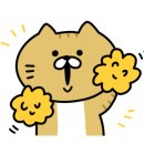 수영종합동물병원 이미지