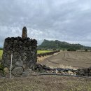 인성리-4 이미지