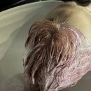 리나헤어 이미지