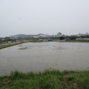 고강동 12 이미지