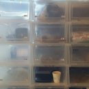 대곡유치원 이미지