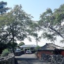 대정성지 이미지