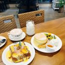 경암역브런치카페 | 해운대 맛집 애견동반 오이라, 중동역 근처 수플레 브런치 카페 후기