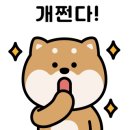 마마펫살롱 이미지