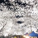 서천둔치 화장실 이미지