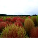 슬도주차장 이미지