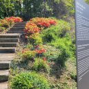 월성박씨종중묘역 | 인천 서창동 장아산 월성박씨 종중 묘역 &amp; 승학산 윤호경(1940년 小林으로 창씨개명) 묘지