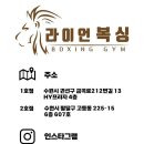 라이언복싱gym 이미지