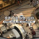 Holly Shop | 12월 호주 여행 시드니 1일차 | 준비물 공항 시내 이동방법 브런치 맛집