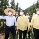 능금축산 이미지