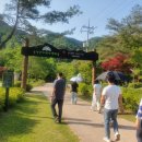 공작산조경