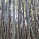 모섬 | 홍성 당일 여행