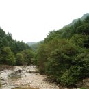 녹전1교