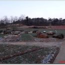 벌교철망 이미지