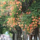 부천중앙공원 이미지