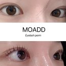 모에드 - 중구 대흥로 173-1 | 익산 신동 속눈썹펌 모에드 솔직후기(추천후기🤍)