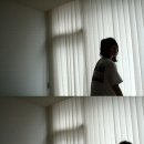 아르몽 Daum카페