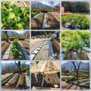 경상남도도교육청 | 학교급식의 교육! 경상남도교육청 맛봄연구소 체험 후기