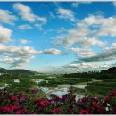 달리고 PC 이미지