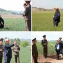 수행농장 이미지