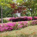 장자한의원 이미지