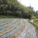 선리농장 이미지