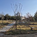 삽교초등학교 이미지