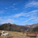 새시장길 1 | 태백나들이 2일차 (오투리조트, 화일원, 몽토랑, 민스분식, 황지연못)