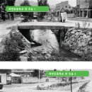 대전자양초등학교 이미지