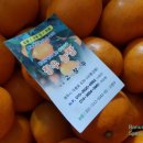 창우농장 이미지