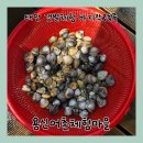 심곡리어촌체험마을 | 용신어촌체험마을 : 태안 갯벌체험 후기 바지락 동죽 조개잡이 꿀팁