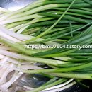 간단하지만 맛있는 파김치 만들기 파김치 황금레시피 이미지